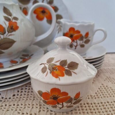 Serwis Kawowo Herbaciany Winterling Pomarańczowy Kwiat